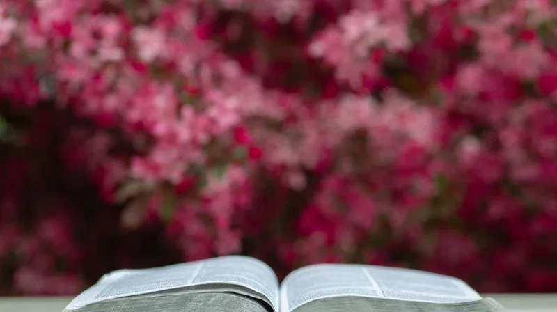 Øygarden Kyrkjekontor